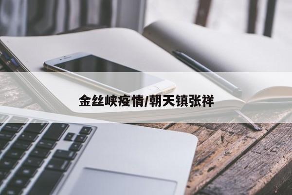 金丝峡疫情/朝天镇张祥